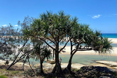Full-Day Small Group Tour To North Stradbroke Island - Tourism Noosa 5