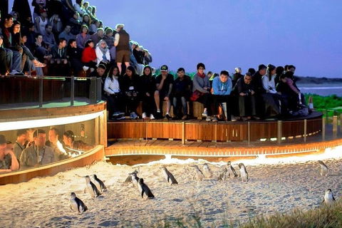 Great Ocean Road & Phillip Island - 3 Days, 2 Nights - Tourism Noosa 0