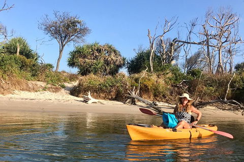 1-Hour Single Or Double Kayak Hire On Golden Beach, Caloundra - Tourism Noosa 4
