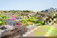 Margaret River Coastal and Wildlife Eco Trip from Busselton or Dunsborough