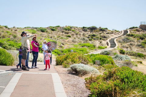Margaret River Coastal And Wildlife Eco Trip From Busselton Or Dunsborough - Tourism Noosa 0