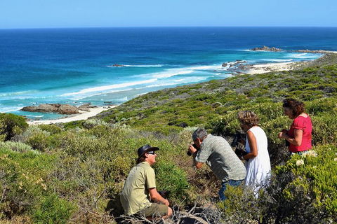 Margaret River Coastal And Wildlife Eco Trip From Busselton Or Dunsborough - Tourism Noosa 2
