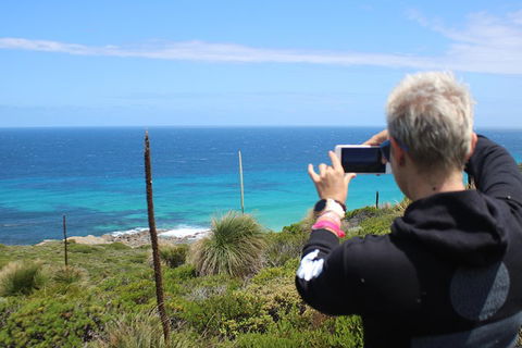 Margaret River Coastal And Wildlife Eco Trip From Busselton Or Dunsborough - Tourism Noosa 3