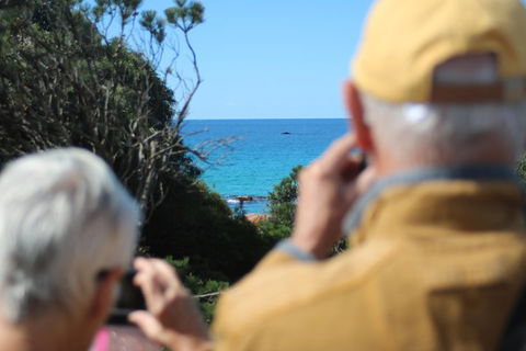 Margaret River Coastal And Wildlife Eco Trip From Busselton Or Dunsborough - Tourism Noosa 5